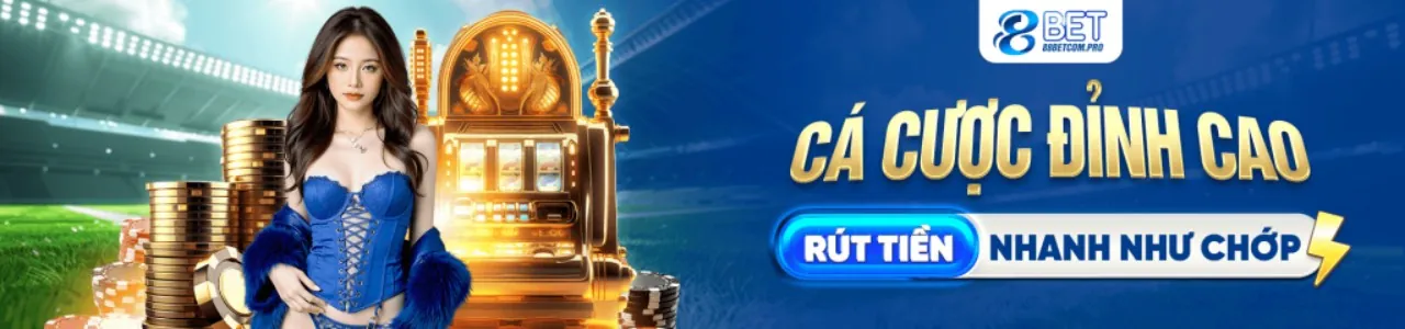 Hình ảnh minh họa việc thu thập dữ liệu an toàn tại 88betwin nhà cái