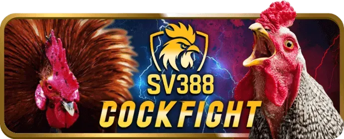 Đặt ngân sách cá cược